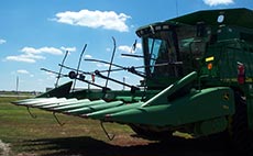 Corn Reel Corn Reel